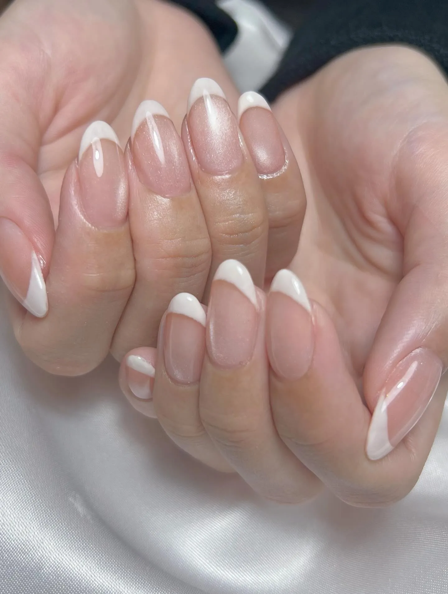 プルマグ×フレンチ